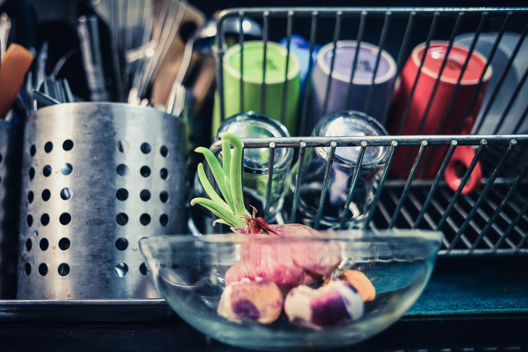 Small professional kitchen with fresh ingredients